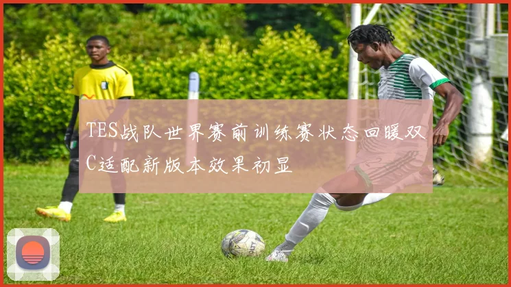 TES战队世界赛前训练赛状态回暖双C适配新版本效果初显