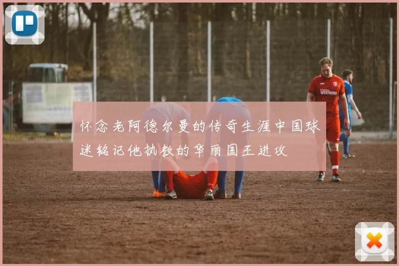 怀念老阿德尔曼的传奇生涯中国球迷铭记他执教的华丽国王进攻